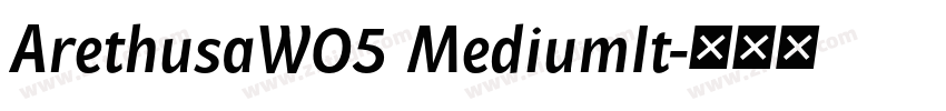 ArethusaW05 MediumIt字体转换